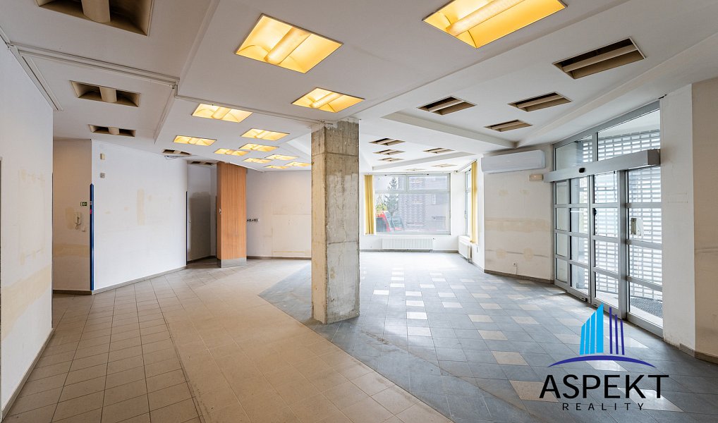 Pronájem obchodních prostor 224 m², Praha – náhled fotky 3