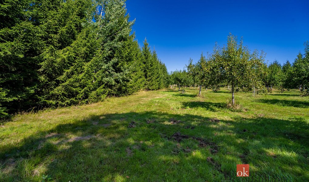 Prodej stavebního pozemku 12 049 m², Varnsdorf – náhled fotky 2