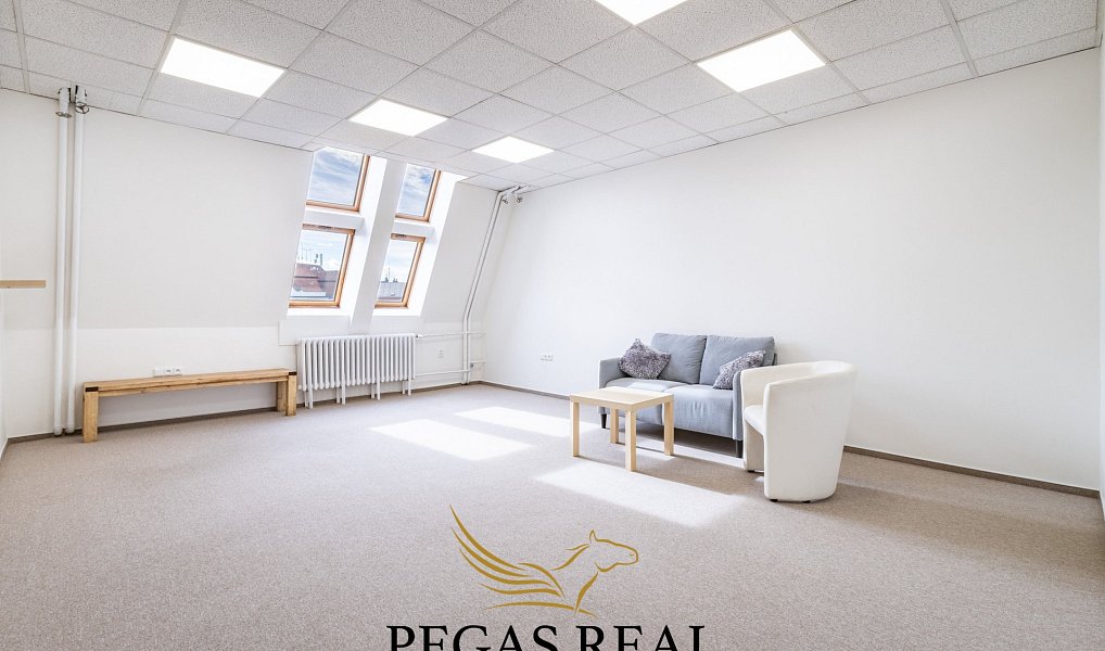 Pronájem komerčního prostoru, 28 m², Brno-město, Brno