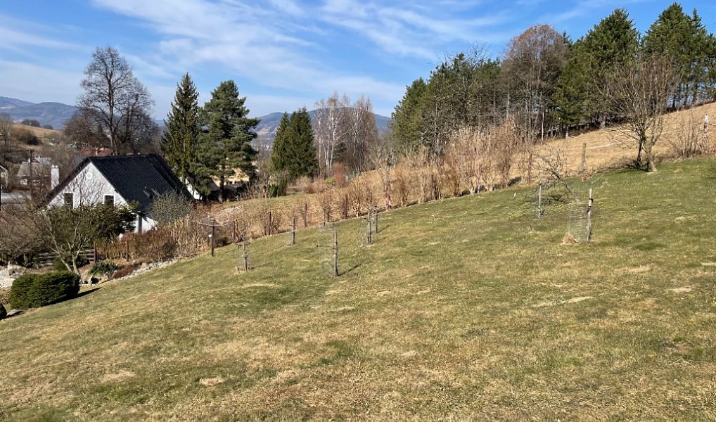 Prodej domu 180 m², Jeseník – náhled fotky 35