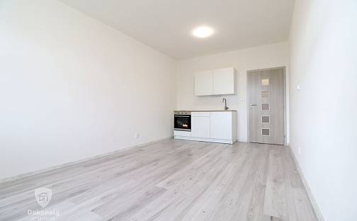 Pronájem bytu 1+kk 26 m², Slepá, Milovice - Mladá, okres Nymburk