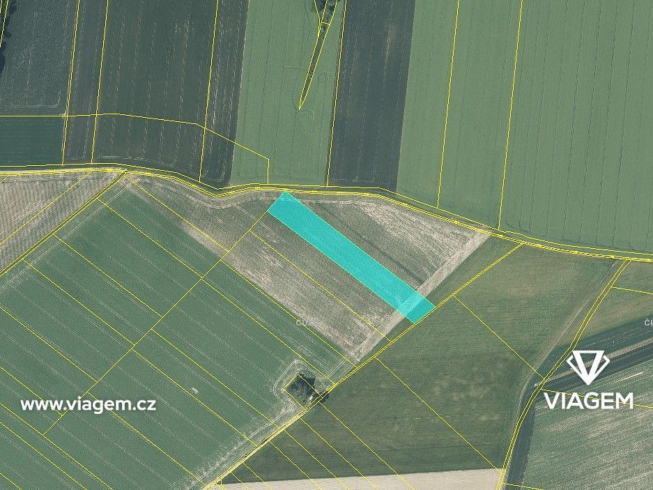 Prodej pole 1 083 m² – fotografie 3