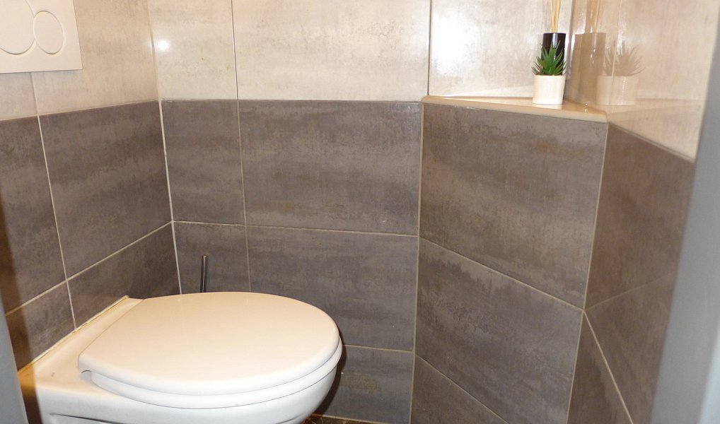 Pronájem bytu 2+kk 58 m², Plzeň – náhled fotky 7