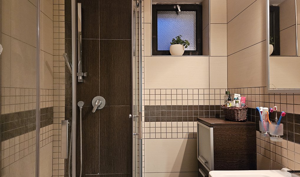 Prodej domu 149 m² s pozemkem 1 110 m², Podlešín – náhled fotky 28