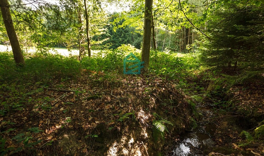 Prodej pozemku 6 805 m², Benešov nad Černou – náhled fotky 10