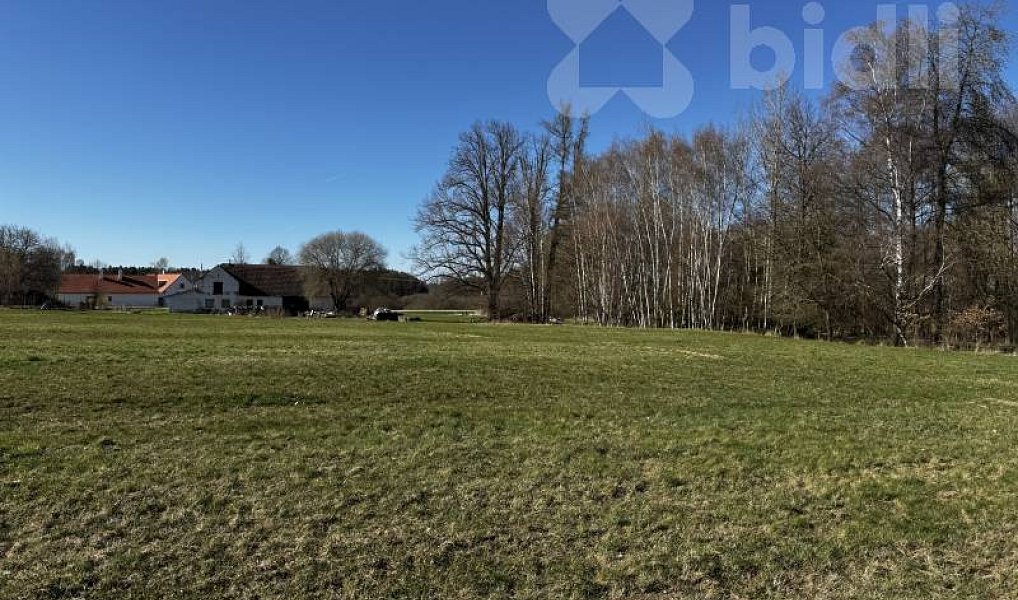 Prodej stavebního pozemku 3 293 m², Horní Stropnice – náhled fotky 6
