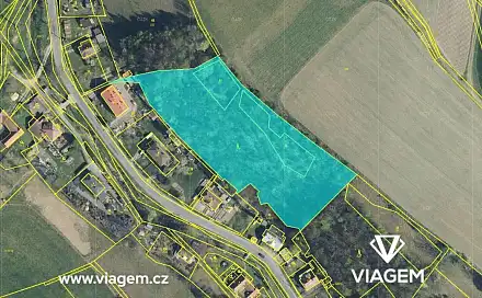 Prodej lesa 9 612 m², Trstěnice, okres Svitavy