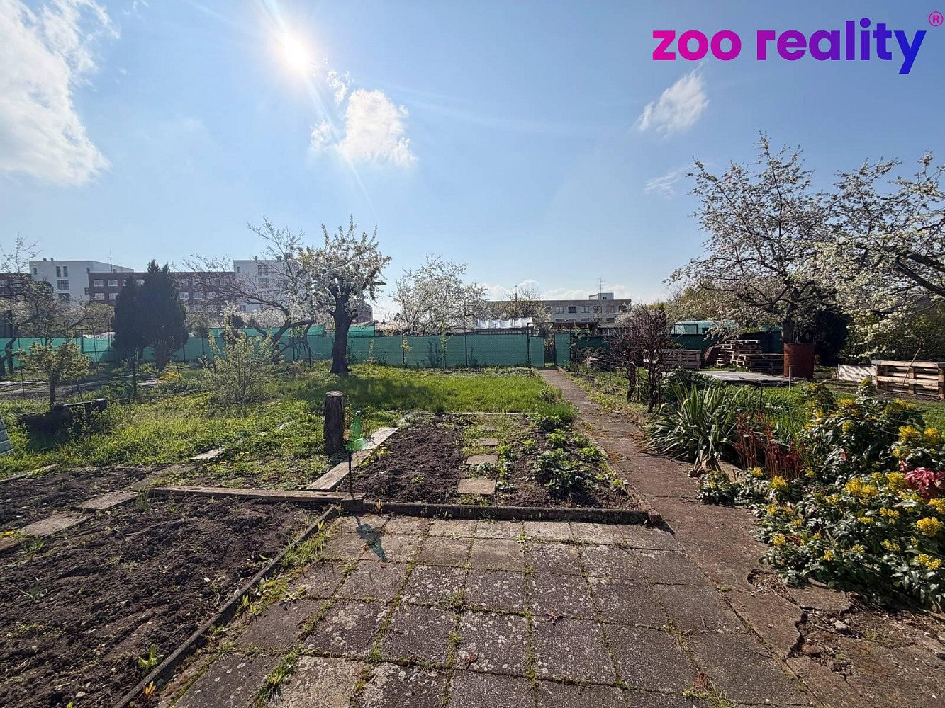 Prodej zahrady 200 m² — photo 3