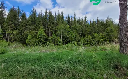 Prodej lesa 72 939 m², Počátky, okres Pelhřimov