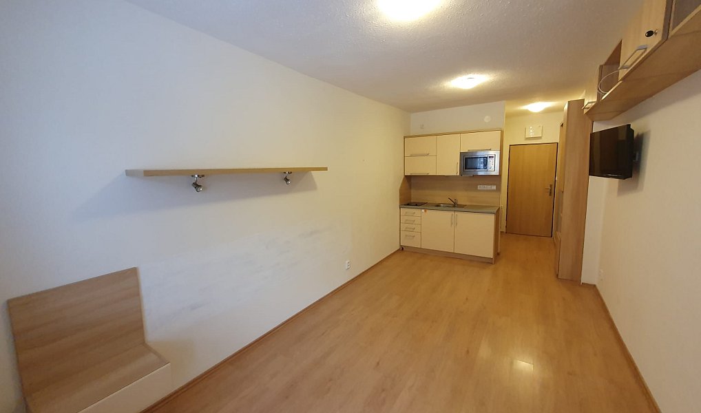 Pronájem bytu 1+kk 20 m², Všemina – náhled fotky 4