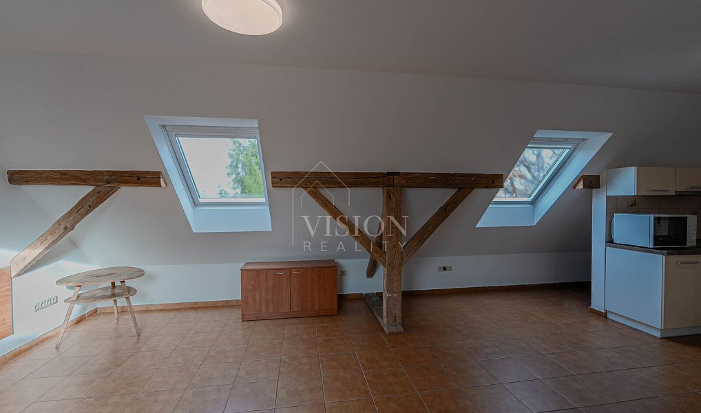 Pronájem bytu 1+kk 40 m², Tábor – náhled fotky 8
