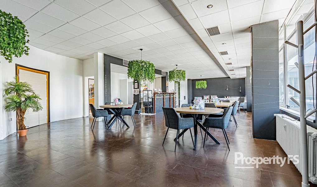 Prodej obchodních prostor 1 500 m², Český Těšín – náhled fotky 10
