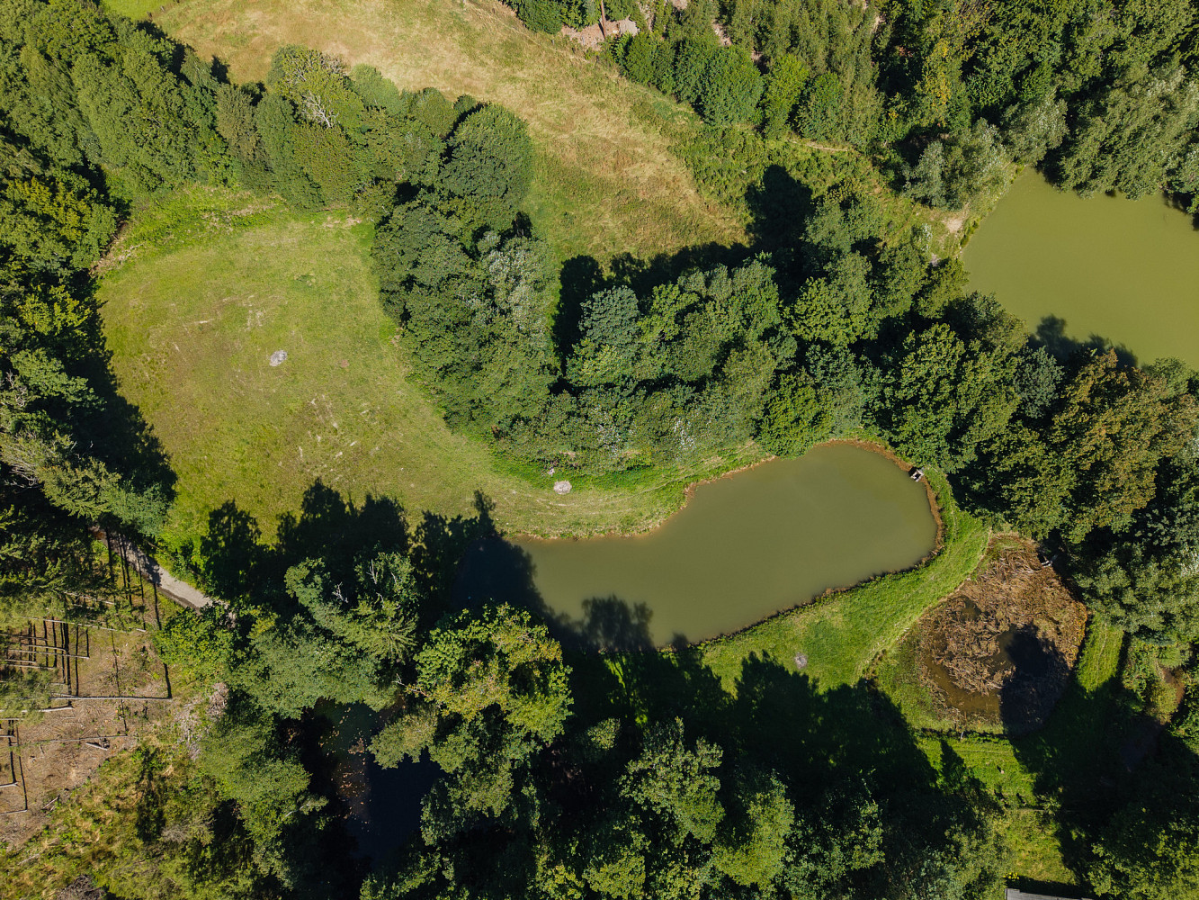 Pronájem vodní plochy 10 752 m² – fotografie 4