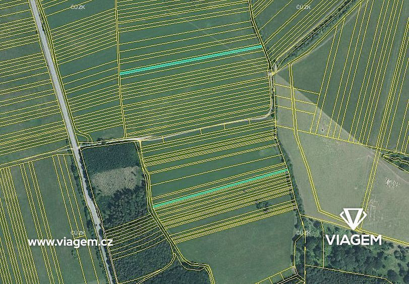 Prodej pole 2 453 m² – fotografie 3