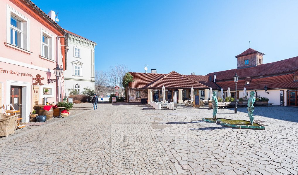Pronájem bytu 1+kk 47 m², Praha – náhled fotky 13