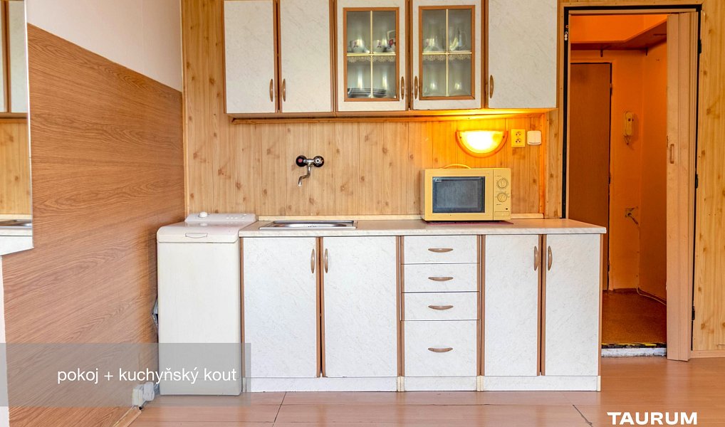 Prodej bytu 1+kk 20 m², Plzeň – náhled fotky 2