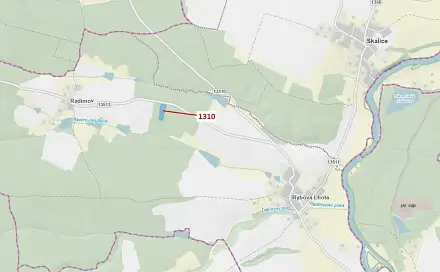 Dražba lesa 7 441 m², Skalice