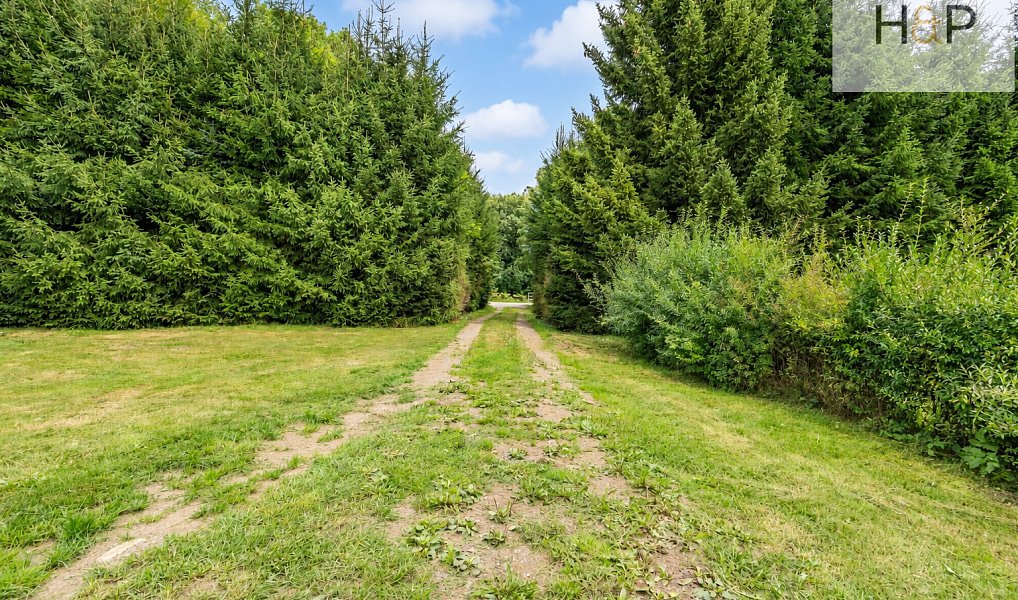 Prodej chaty/chalupy 250 m² s pozemkem 5 622 m², Králíky – náhled fotky 13