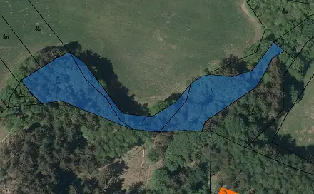 Prodej lesa 4 299 m², Syřenov, okres Semily