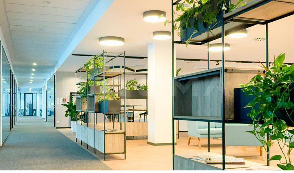 Pronájem kanceláře 1 959 m², Praha – náhled fotky 6