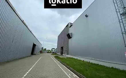 Pronájem výrobních prostor 7 500 m², Hodonín