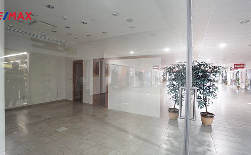 Pronájem obchodních prostor 55 m², Bidláky, Brno - Štýřice