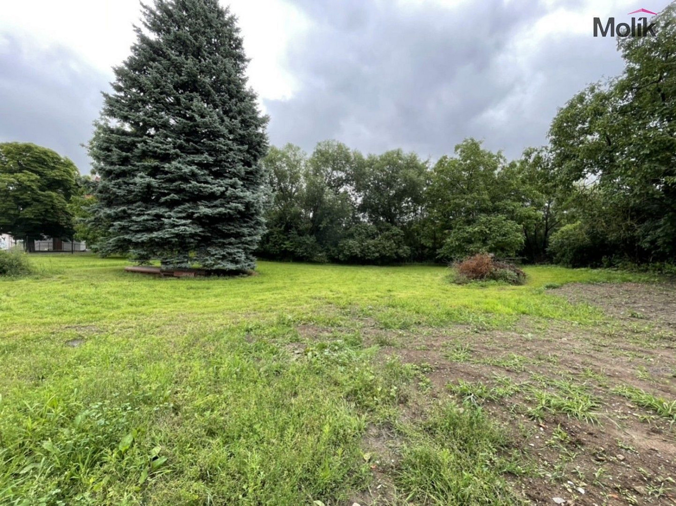 Prodej stavebního pozemku 1 000 m² – fotografie 5