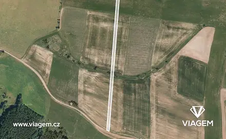 Prodej pole 833 m², Borovnice, okres Trutnov