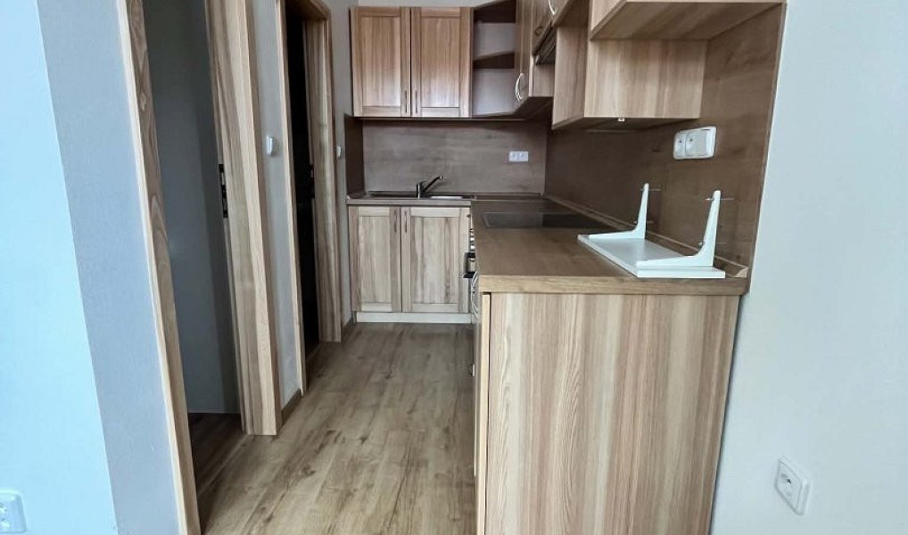 Pronájem bytu 2+kk 45 m², Horní Benešov – náhled fotky 3