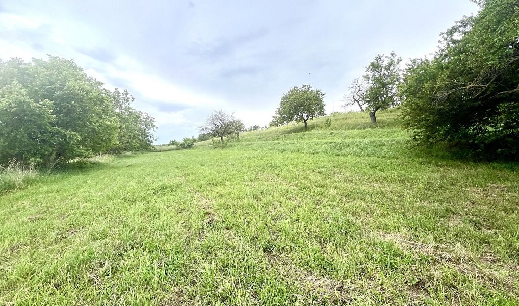 Prodej stavebního pozemku 896 m², Násedlovice – náhled fotky 7