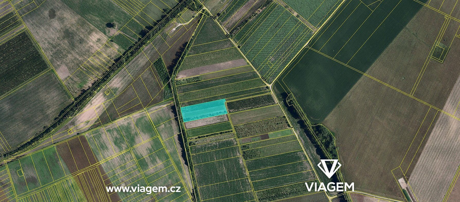 Pole 10 088 m², Podíl 20 % o výměře 2 018 m² – pohled 2