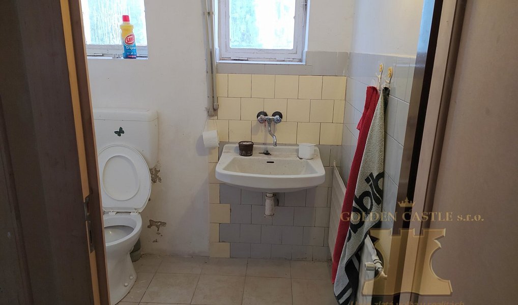 Pronájem obchodních prostor 100 m², Chotoviny – náhled fotky 17