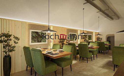 Pronájem restaurace 1 200 m², nám. Přemysla Otakara II., České Budějovice - České Budějovice 1
