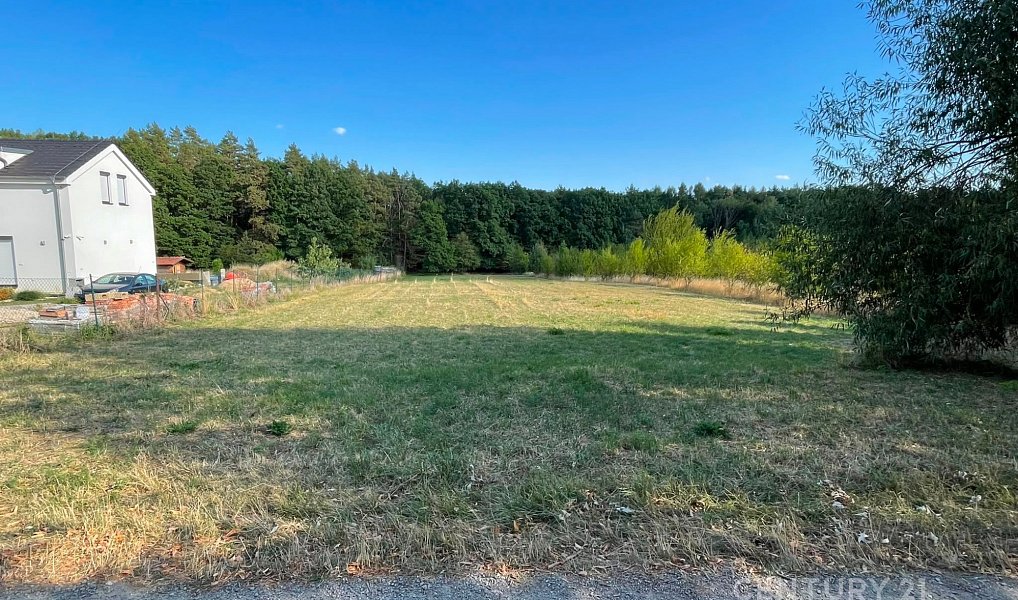 Prodej stavebního pozemku 3 256 m², Olšany – náhled fotky 2