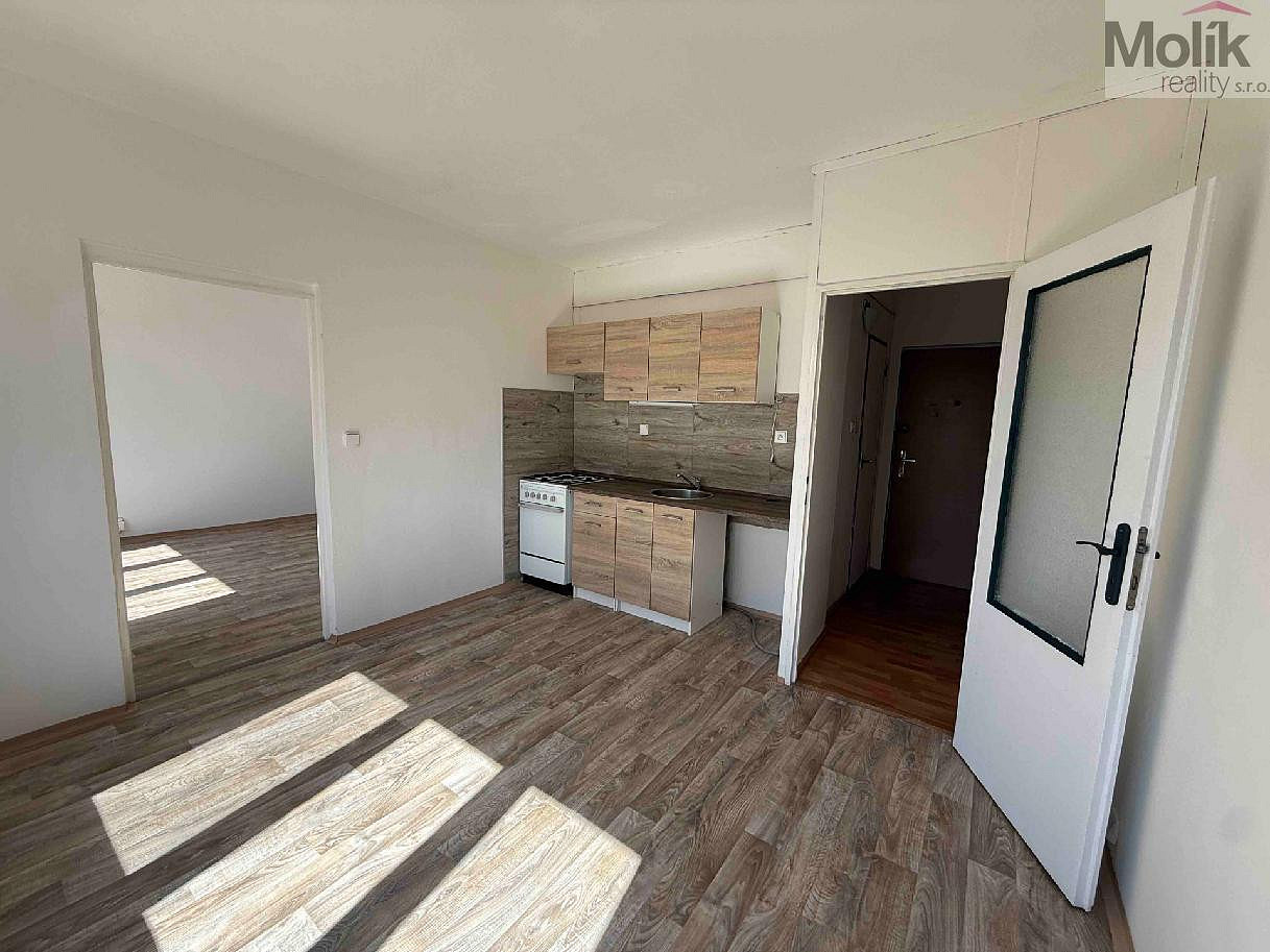 Pronájem bytu 1+1 35 m² – fotografie 2