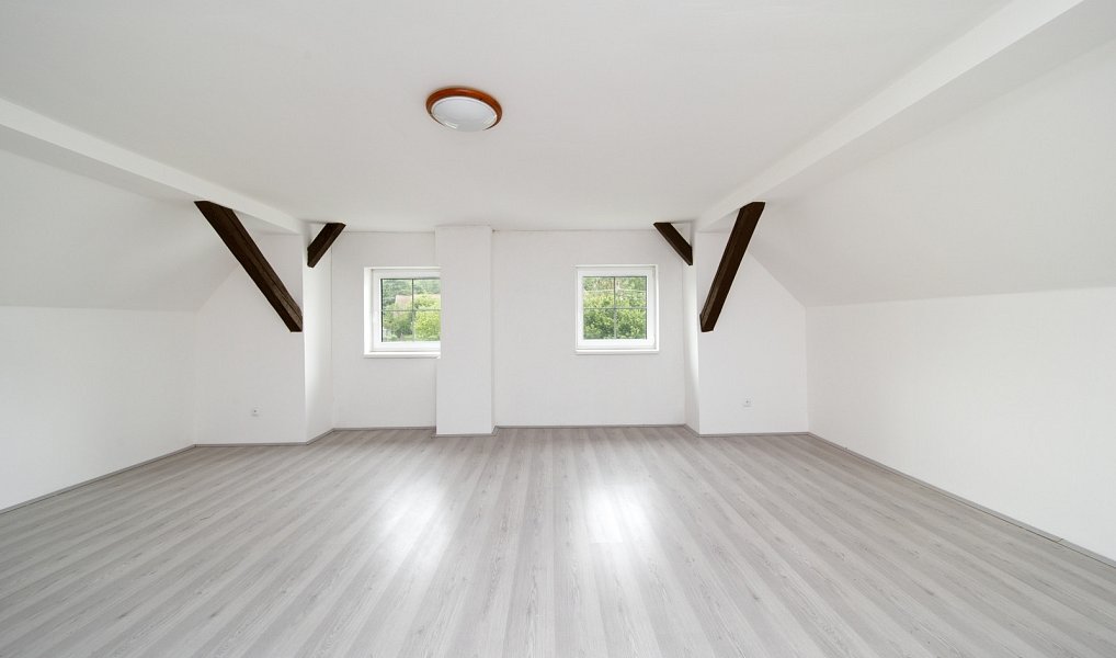 Prodej domu 450 m² s pozemkem 2 500 m², Čmelíny – náhled fotky 22