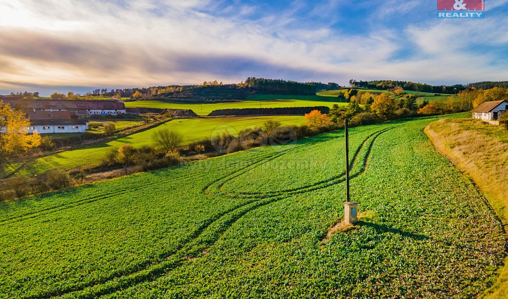 Prodej louky 3 850 m², Mladotice – náhled fotky 6