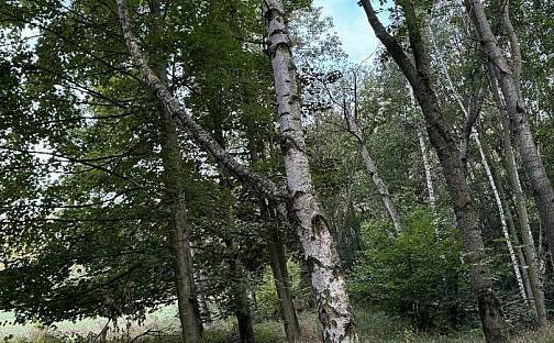 Prodej pozemku 3 584 m², Úštěk - Úštěk-Vnitřní Město, okres Litoměřice