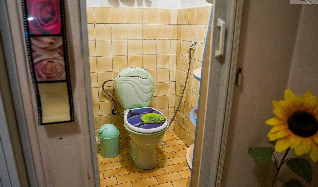 Prodej domu 291 m² s pozemkem 2 236 m², Dubí – náhled fotky 13