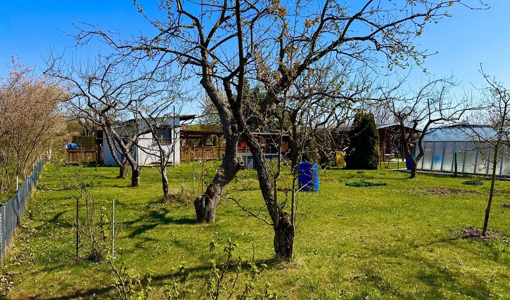 Prodej chaty/chalupy 8 m² s pozemkem 355 m², Pardubice – náhled fotky 7