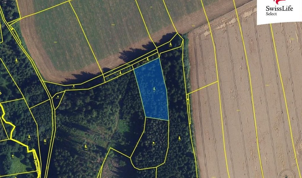 Prodej pole 84 715 m², Trpín – náhled fotky 2
