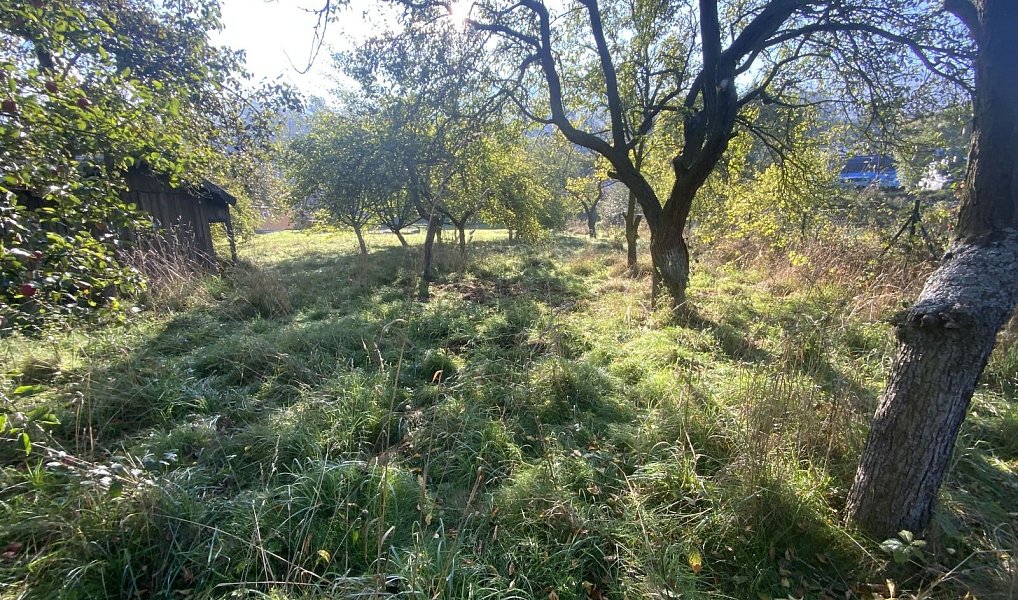 Prodej zahrady 702 m², Stráž nad Ohří – náhled fotky 3