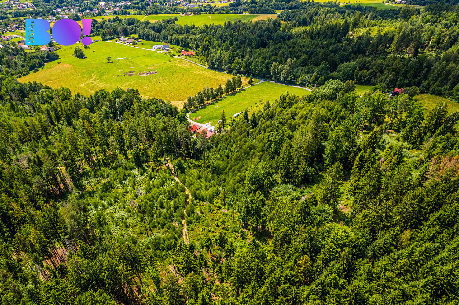 Prodej lesa 12 430 m² – fotografie 4