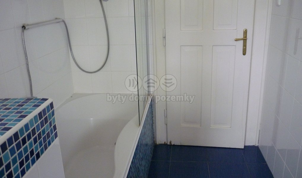 Pronájem domu 350 m² s pozemkem 750 m², Praha – náhled fotky 8