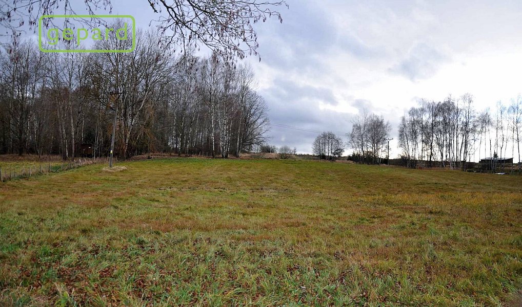 Prodej pole 4 674 m², Trhové Sviny – náhled fotky 9