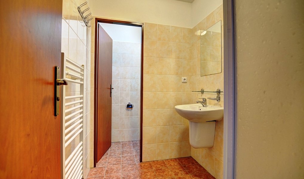 Prodej ubytovacího objektu 793 m², Strážné – náhled fotky 18