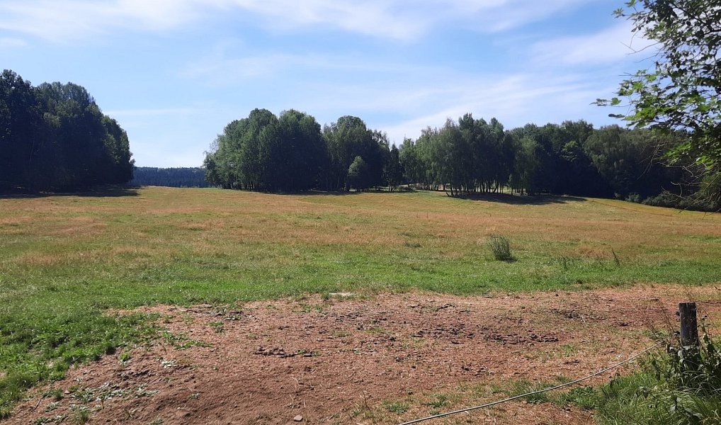 Prodej louky 12 444 m², Benešov nad Černou – náhled fotky 4