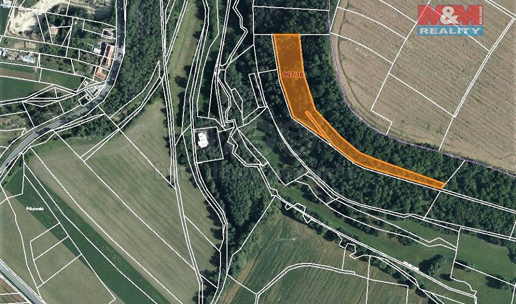 Prodej lesa 8 078 m², Skuteč – náhled fotky 5
