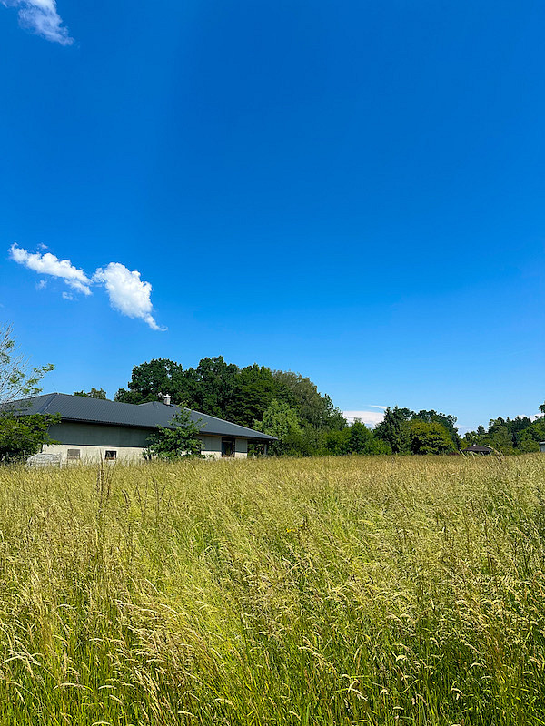 Prodej stavebního pozemku 2 305 m² – fotografie 4