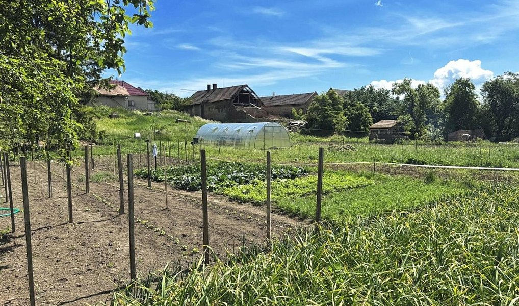 Prodej zahrady 1 306 m², Dolní Bezděkov – náhled fotky 7